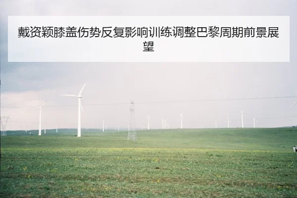 戴资颖膝盖伤势反复影响训练调整巴黎周期前景展望