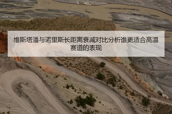 维斯塔潘与诺里斯长距离衰减对比分析谁更适合高温赛道的表现