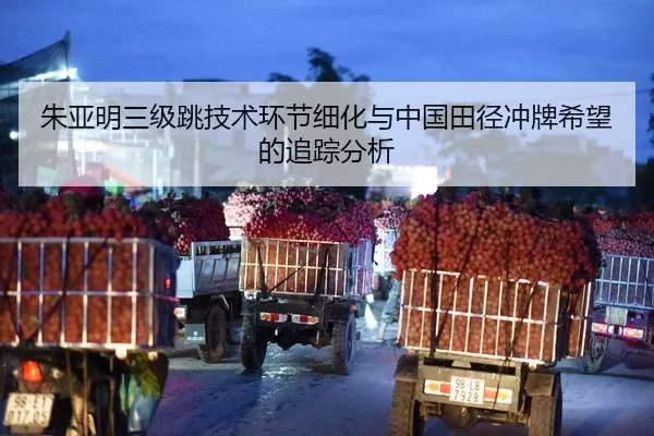朱亚明三级跳技术环节细化与中国田径冲牌希望的追踪分析