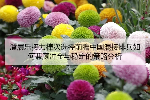 潘展乐接力棒次选择前瞻中国混接排兵如何兼顾冲金与稳定的策略分析