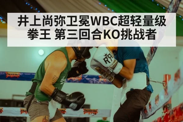 Naoya Inoue boxing